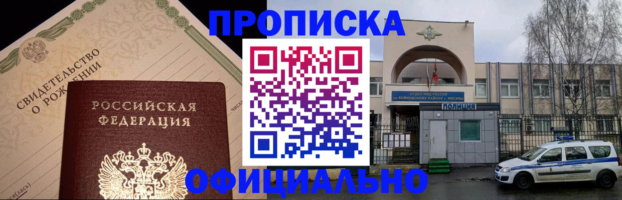 временная регистрация гарантия в Палласовке