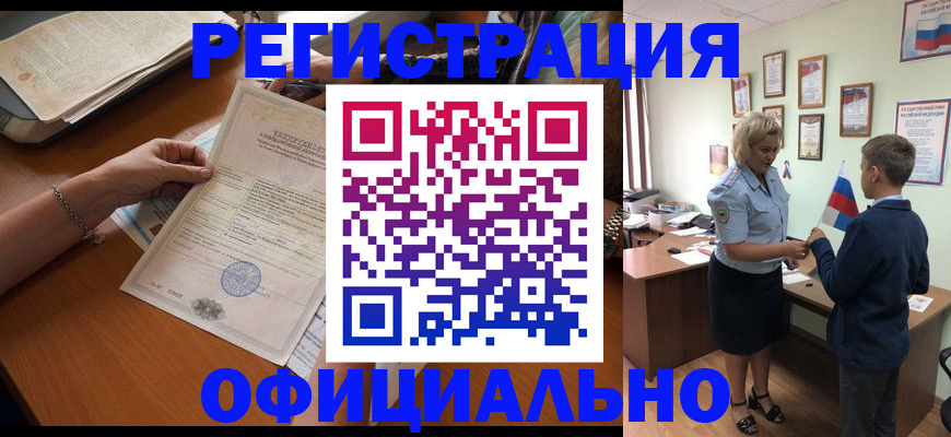 временная регистрация в квартире в Палласовке